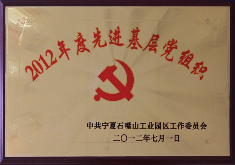 2012年度先进基层党组织